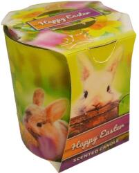ADMIT Lumânare parfumată „Iepuraș de Paște - Admit Verona Easter Bunny 90 g