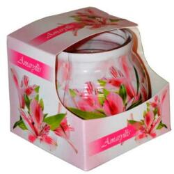 ADMIT Lumânare parfumată - Admit Candle In Glass Cover Amaryllis 80 g