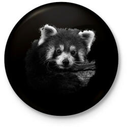 printfashion Vörös panda (fekete-fehér újság) - Kitűző, hűtőmágnes - Fekete (14447776)