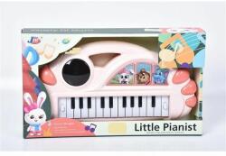Orga electrica pian (PIT710309)