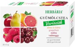 Herbária alma-körte, grapefruit, málna, vadmeggy ízű filteres gyümölcstea variációk 4x5filter