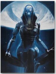  Poszter Mass Effect - Tali (nyomtatás vászonra)