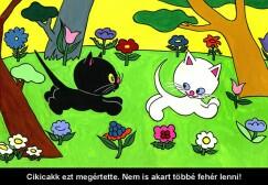  Cikicakk, a fekete cica - diafilm
