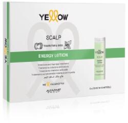 Yellow Alfaparf Group Lotiune de Par Yellow Scalp Energy 6 x 13 ml