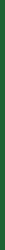 Pentart textil és bőrfesték 50 ml zöld (34811)