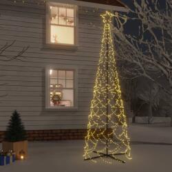 vidaXL Brad de Crăciun conic, 500 LED-uri, alb cald, 100x300 cm (343509)