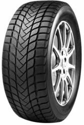 Mastersteel Winter+ 205/55 R16 91H