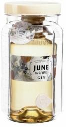 G'Vine June by G'Vine Wild Peach Gin (Party Jar) [0, 7L|37, 5%] - idrinks