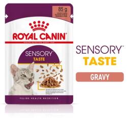 Royal Canin Sensory Taste - Hrană umedă bucăți de carne în sos 12 x 85 g