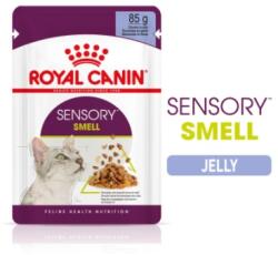 Royal Canin Sensory Smell - Hrană umedă bucăți de carne în jeleu 12 x 85 g