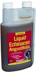 Equimins Echinacea Herb Liquid - Soluție pentru stimularea imunității cu echinaceea pentru cai 1 l