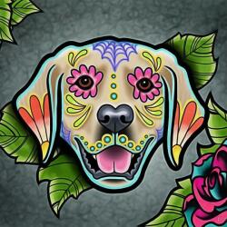 NORIMPEX - Puzzle Pictura cu diamant: Labrador 30x30cm 7D - 1 - 39 piese