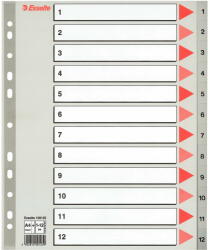 Esselte Separatoare Index Plastic 1-12 Maxi Esselte