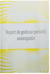 Goldpaper Raport de gestiune periodic, a4, autocopiativ, 2 exemplare, 100 file (6422575002915)