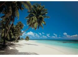 Komar Fototapet Plaja Maldive