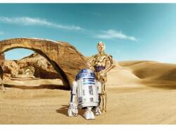 Komar Fototapet Star Wars R2-D2 si C-3PO