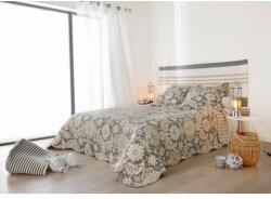 Linder Cuvertura gri hispanica San Jose