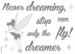 Komar Stickere perete - Never stop dreaming