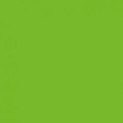 d-c-fix Autocolant Verde Lime RAL 6018 mat 45 cm