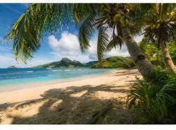 Komar Fototapet Plaja Seychelles cu palmieri