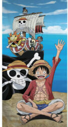 Aymax One Piece (AYM988693)