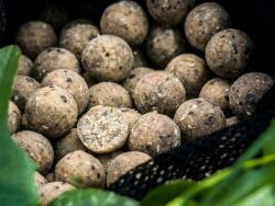 Select Baits Boilies SELECT BAITS Nutty Scopex, 20mm, 800g (SB1628)