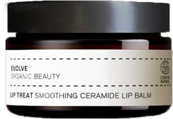 Evolve Organic Beauty Lip Treat - 15 ml