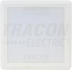 TRACON LED-DLNFS-24NW