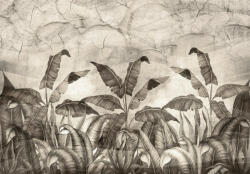 Consalnet Fekete-fehér trópusi levelek beton háttérel poszter, fotótapéta (256 x 184 cm) (C1-14531VEXXXL)