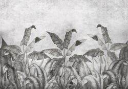 Consalnet Fekete-fehér trópusi levelek beton háttérel poszter, fotótapéta (256 x 184 cm) (C1-14532V8)