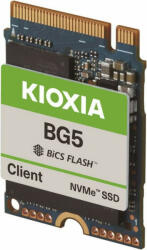 Toshiba KIOXIA 256GB M.2 (KBG50ZNS256G)