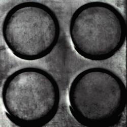 Notrax Dots 'n' Roll csúszásgátló szőnyeg penny felülettel, fekete, 100 x 1000 cm - manutan - 157 137 Ft