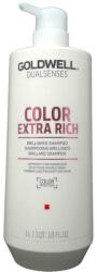 Goldwell Sampon pentru Par Vopsit - Goldwell Dualsenses Color Extra Rich Brilliance Shampoo, 1000ml