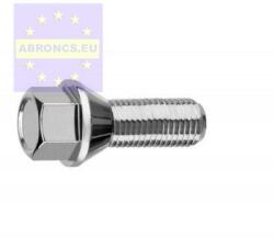  Kerékcsavar M14x1, 50x55 10.9 17x13 60° 23 ZB