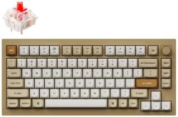 Keychron Q1 Swappable RGB Backlight (Q1-E2)