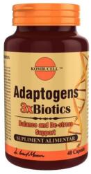 ProNatura Adapogens 3xBiotics Kombucell, Medica, 40 capsule