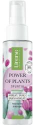 Lirene Hidrolat facial netezitor, cu efect hidratant Lirene Power of Plants, 100ml