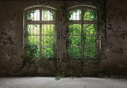 Consalnet Elhagyatott házból kinéző ablak poszter, fotótapéta, Vlies (416 x 290 cm) (C1-14536VEXXXXL)