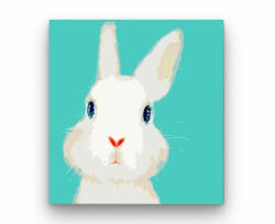  Fehér nyuszi - gyerek számfestő készlet