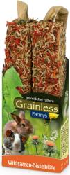 JR FARM FARMY`s vadmagok-bogáncsvirág - 140 g