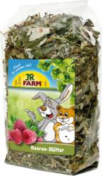 JR Farm Bogyós gyümölcs levelek - 100 g