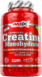 Amix Nutrition Creatine Monohydrate 500 caps
