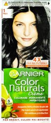 Garnier Vopsea de par Color Naturals 1 Negru