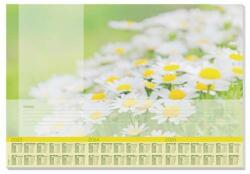 Sigel Bookmat, 595x410 mm, cu designer de 3 ani, SIGEL "Lovely Daisies (HO307)