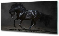 Wallmuralia. hu Konyhai fali panel Fekete ló 140x70 cm
