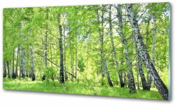  Wallmuralia. hu Konyhai hátfalpanel Nyírfa erdő 125x50 cm