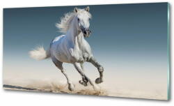 Wallmuralia. hu Konyhai fali panel Fehér ló galopp 140x70 cm