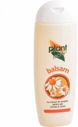 Plant Activ Balsam pentru par cu extract de musetel, 200ml, Plant Activ