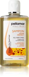 Pell Amar Sampon cu extract de floarea-soarelui pentru par vopsit Beauty Hair, 250ml, Pell Amar
