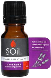 Soil Ulei Esential Lavanda Pur 100% Organic, 10ml, Soil